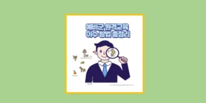 예비군 원격교육