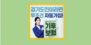 기후보험