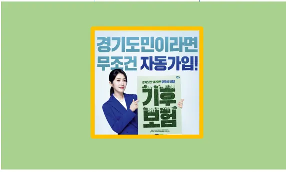 기후보험
