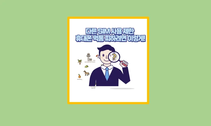 다른 SIM