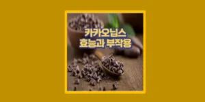 카카오닙스 효능