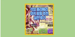 홀리베리 쿠키