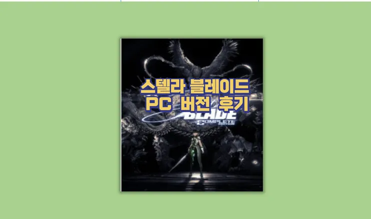 스텔라 블레이드 PC