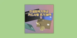 2025 민생회복지원금
