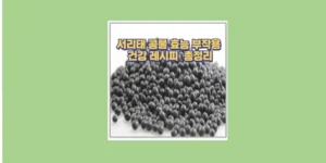 서리태 콩물
