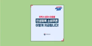 민생회복 소비쿠폰