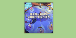 롤체 시즌15