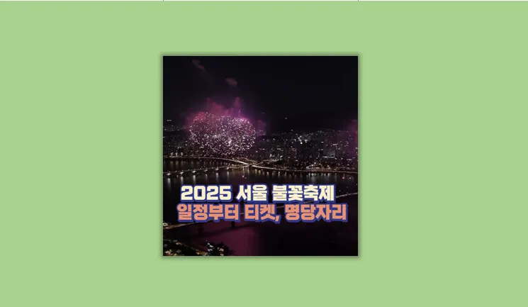 서울 불꽃축제