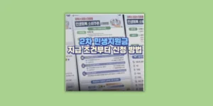 민생지원금 2차