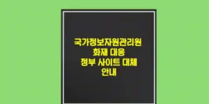 국가정보자원관리원