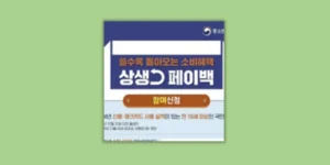 상생페이백