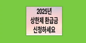 상환제 환급급