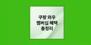 와우 멤버십