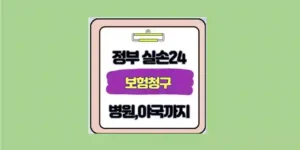 실손24